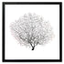 black square frame black sea fan